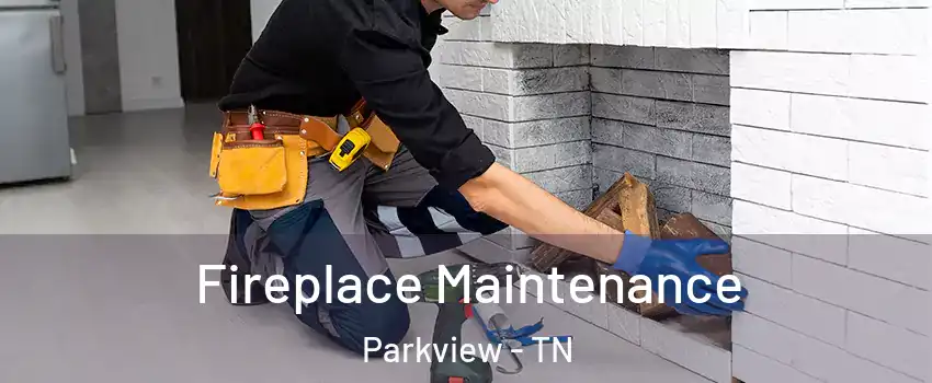 Fireplace Maintenance Parkview - TN