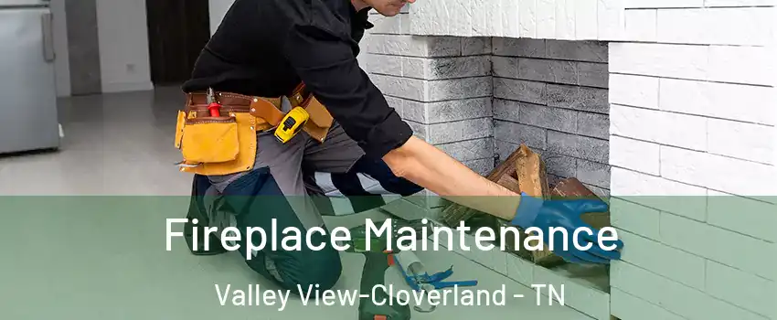 Fireplace Maintenance Valley View-Cloverland - TN