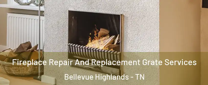 Fireplace Repair And Replacement Grate Services Bellevue Highlands - TN