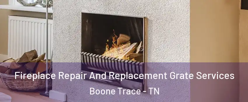 Fireplace Repair And Replacement Grate Services Boone Trace - TN