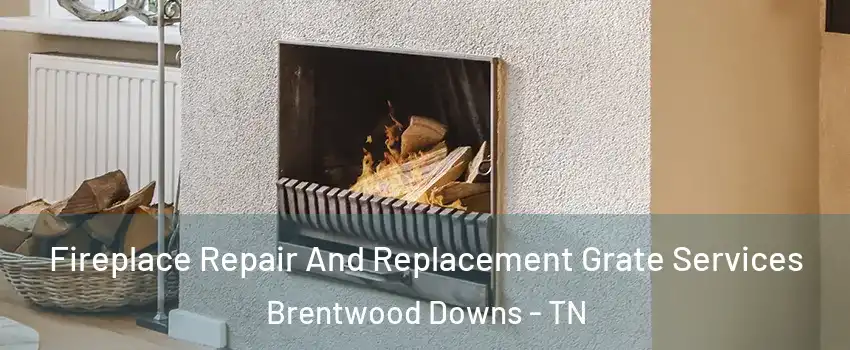 Fireplace Repair And Replacement Grate Services Brentwood Downs - TN