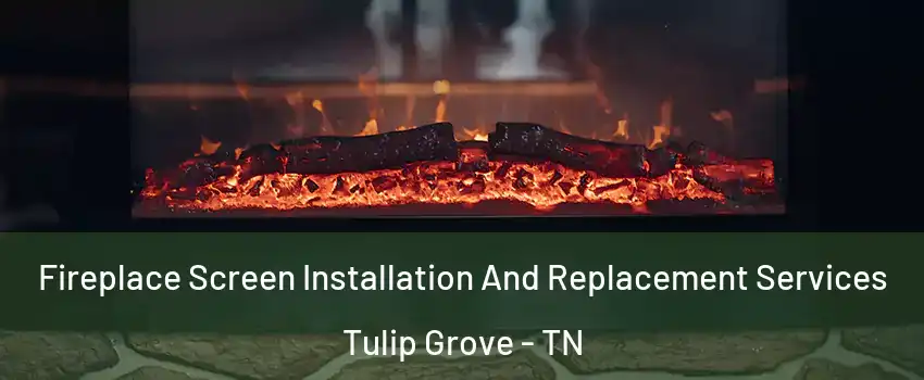 Fireplace Screen Installation And Replacement Services Tulip Grove - TN