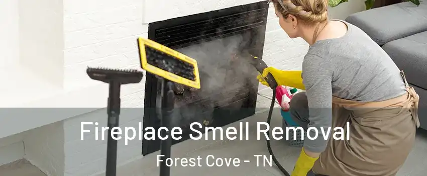 Fireplace Smell Removal Forest Cove - TN