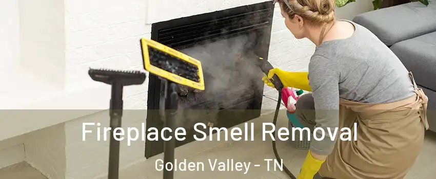 Fireplace Smell Removal Golden Valley - TN