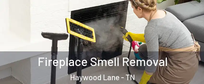 Fireplace Smell Removal Haywood Lane - TN