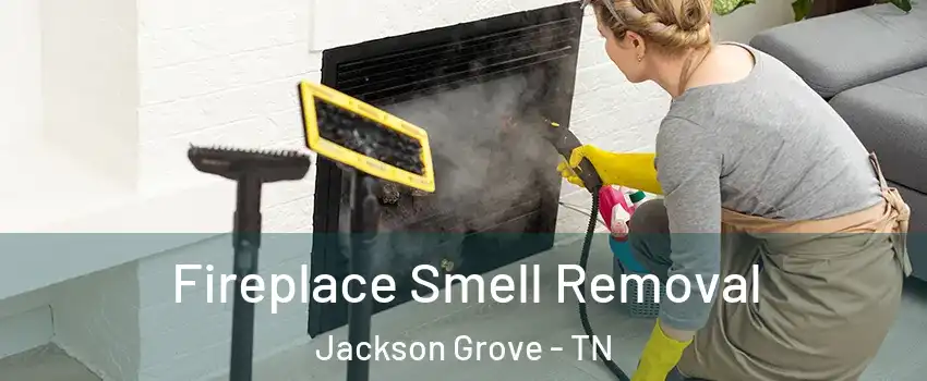 Fireplace Smell Removal Jackson Grove - TN