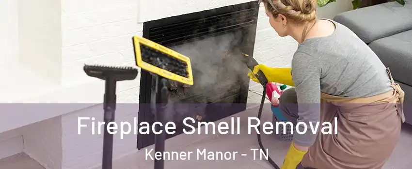 Fireplace Smell Removal Kenner Manor - TN