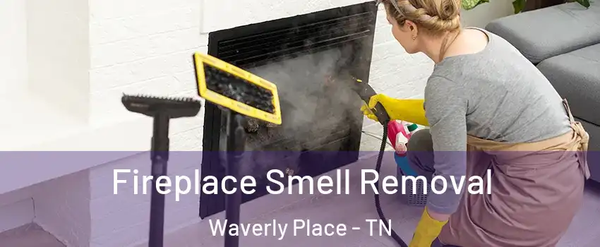 Fireplace Smell Removal Waverly Place - TN