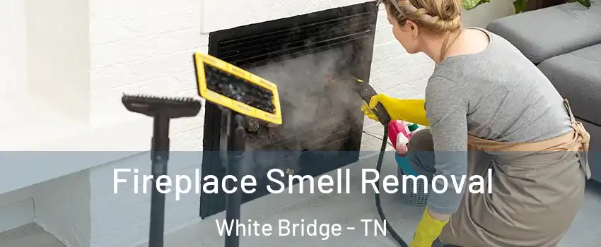 Fireplace Smell Removal White Bridge - TN