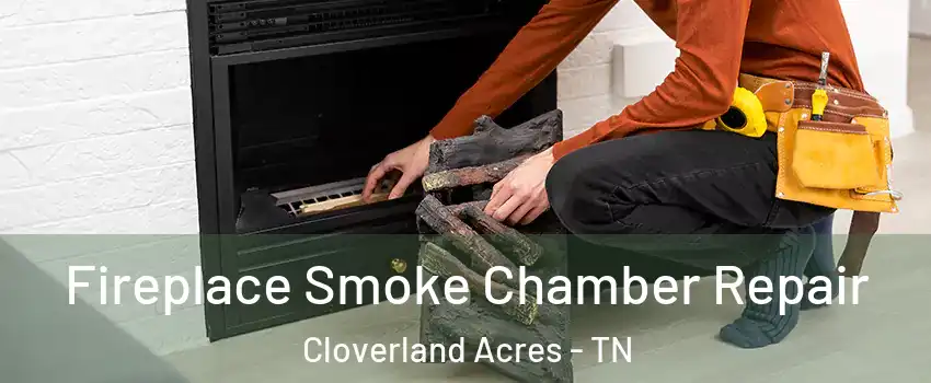 Fireplace Smoke Chamber Repair Cloverland Acres - TN