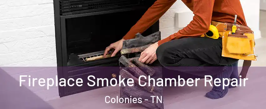 Fireplace Smoke Chamber Repair Colonies - TN