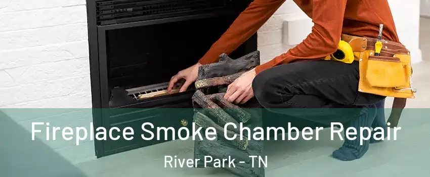 Fireplace Smoke Chamber Repair River Park - TN