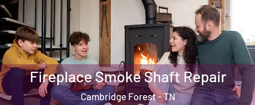 Fireplace Smoke Shaft Repair Cambridge Forest - TN