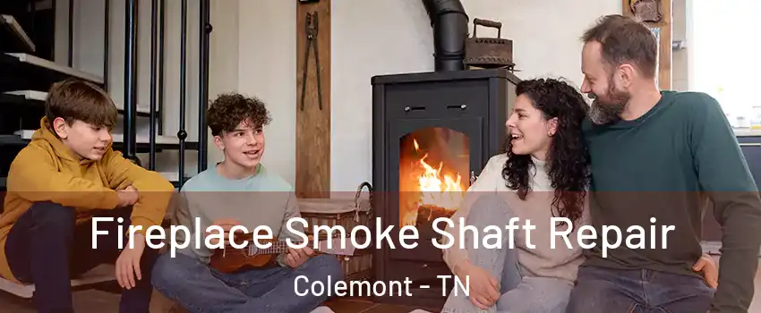 Fireplace Smoke Shaft Repair Colemont - TN