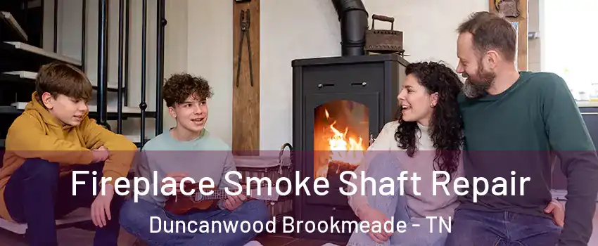 Fireplace Smoke Shaft Repair Duncanwood Brookmeade - TN