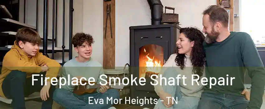 Fireplace Smoke Shaft Repair Eva Mor Heights - TN