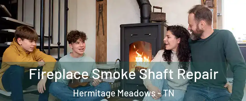 Fireplace Smoke Shaft Repair Hermitage Meadows - TN