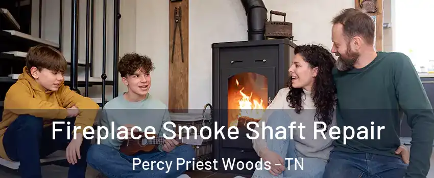 Fireplace Smoke Shaft Repair Percy Priest Woods - TN