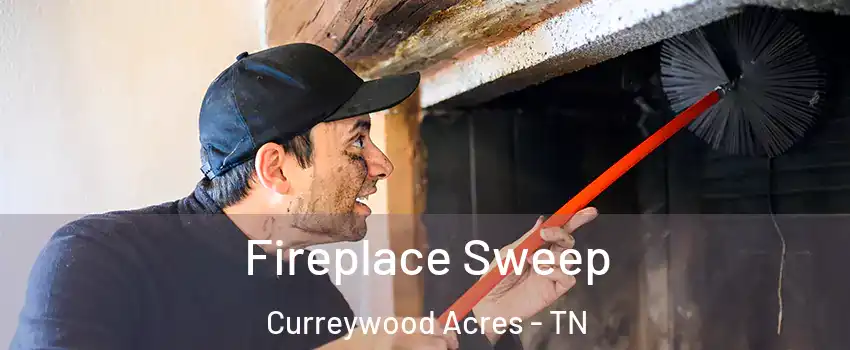 Fireplace Sweep Curreywood Acres - TN