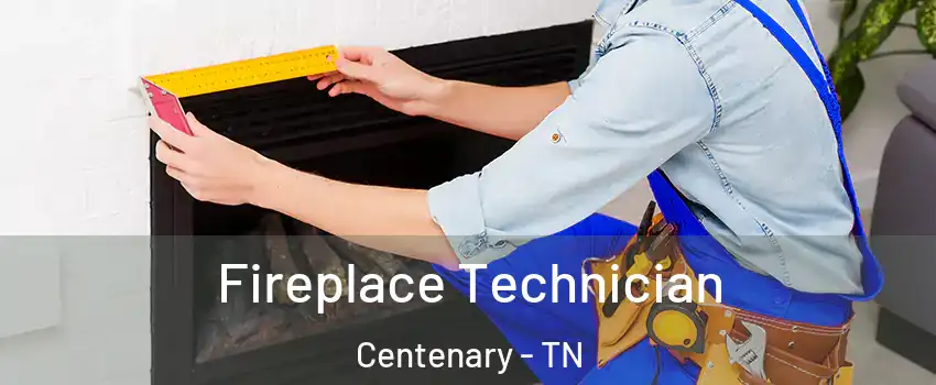 Fireplace Technician Centenary - TN