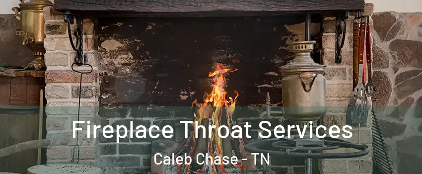 Fireplace Throat Services Caleb Chase - TN