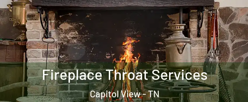 Fireplace Throat Services Capitol View - TN