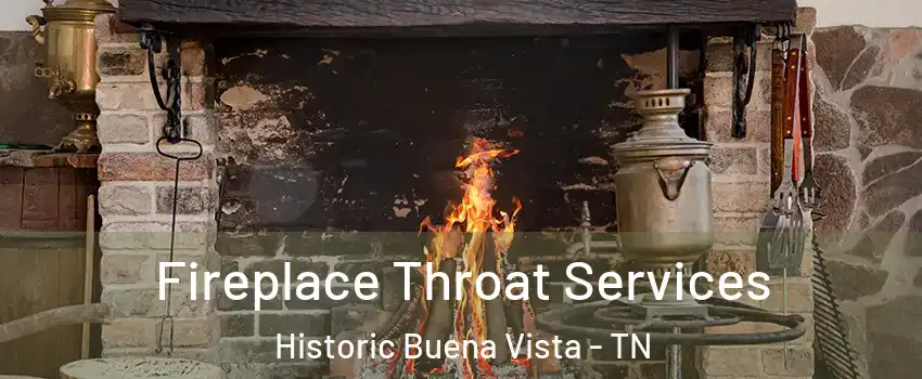 Fireplace Throat Services Historic Buena Vista - TN