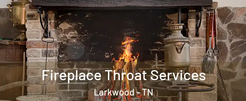 Fireplace Throat Services Larkwood - TN