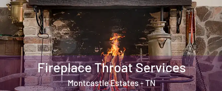 Fireplace Throat Services Montcastle Estates - TN