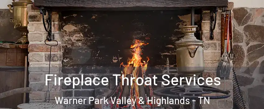 Fireplace Throat Services Warner Park Valley & Highlands - TN