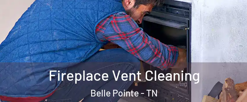 Fireplace Vent Cleaning Belle Pointe - TN