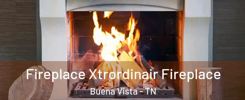 Fireplace Xtrordinair Fireplace Buena Vista - TN