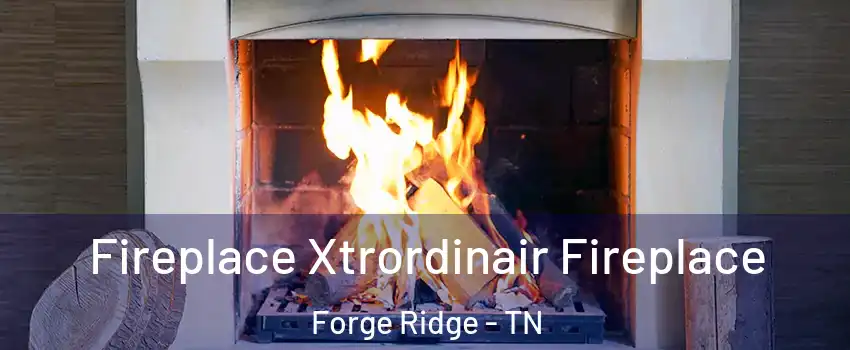 Fireplace Xtrordinair Fireplace Forge Ridge - TN