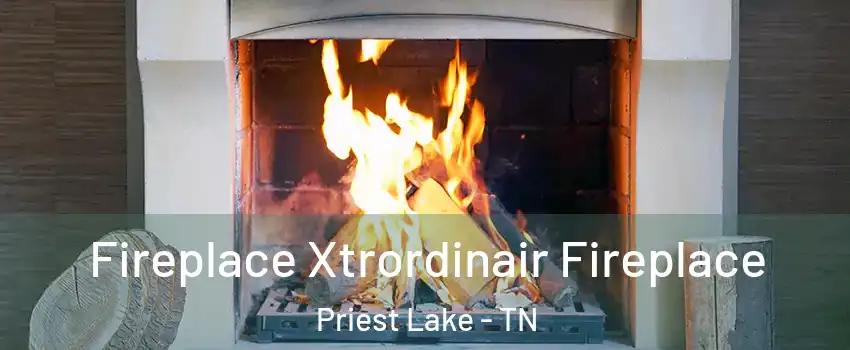 Fireplace Xtrordinair Fireplace Priest Lake - TN