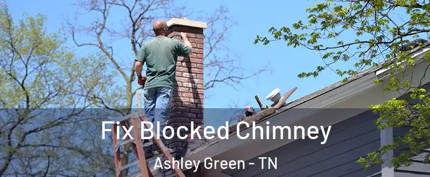 Fix Blocked Chimney Ashley Green - TN