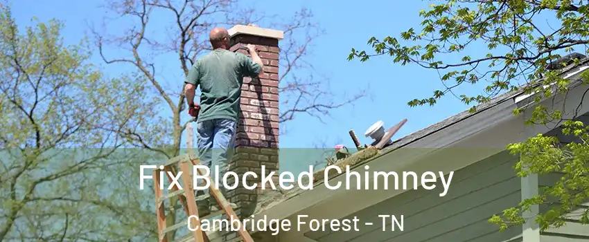 Fix Blocked Chimney Cambridge Forest - TN