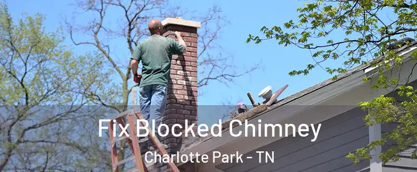 Fix Blocked Chimney Charlotte Park - TN