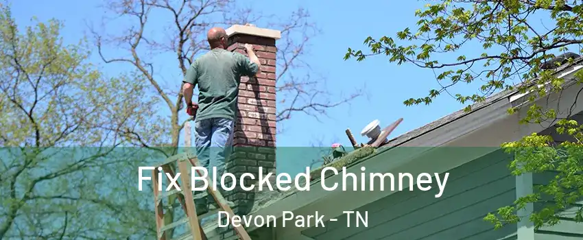 Fix Blocked Chimney Devon Park - TN