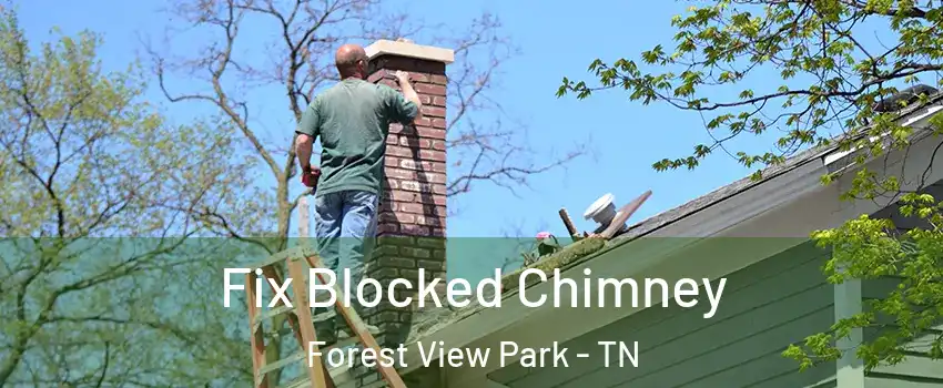 Fix Blocked Chimney Forest View Park - TN