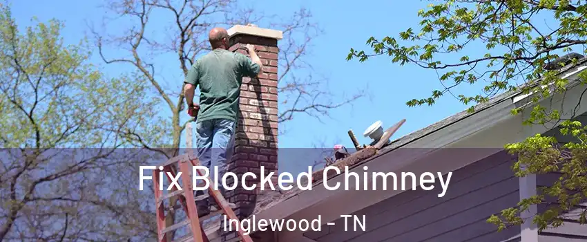 Fix Blocked Chimney Inglewood - TN