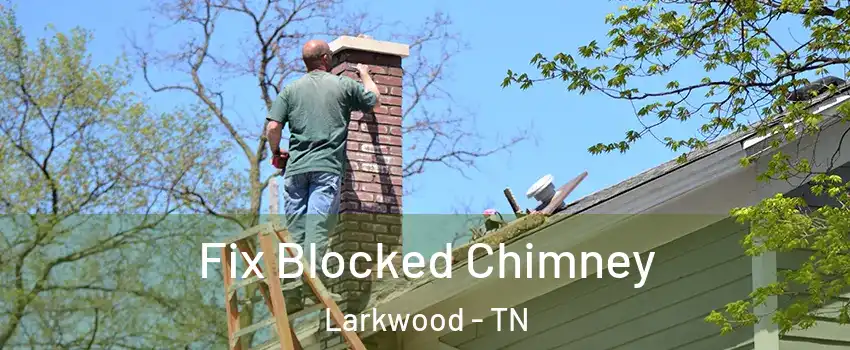 Fix Blocked Chimney Larkwood - TN