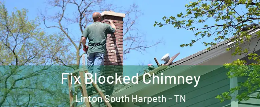 Fix Blocked Chimney Linton South Harpeth - TN