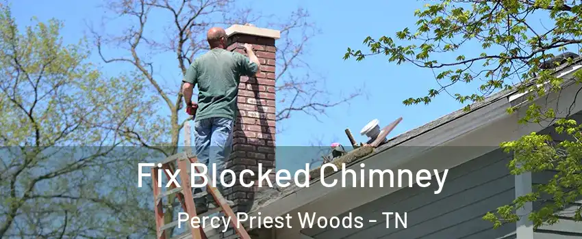 Fix Blocked Chimney Percy Priest Woods - TN