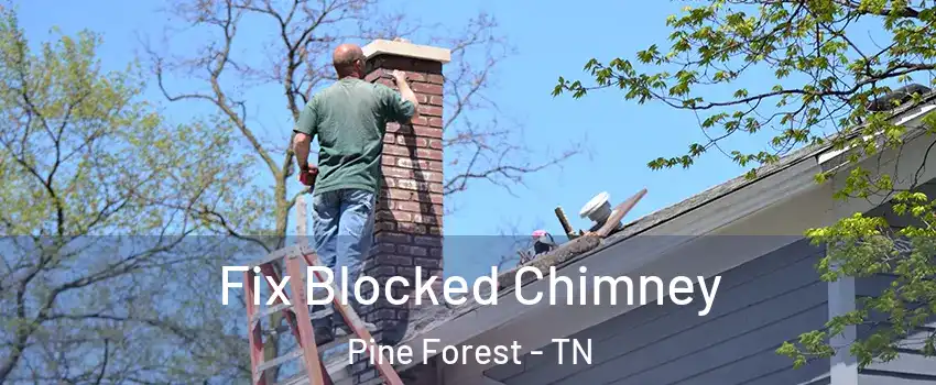 Fix Blocked Chimney Pine Forest - TN