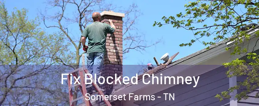 Fix Blocked Chimney Somerset Farms - TN