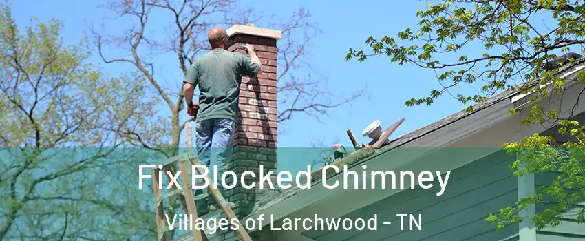 Fix Blocked Chimney Villages of Larchwood - TN