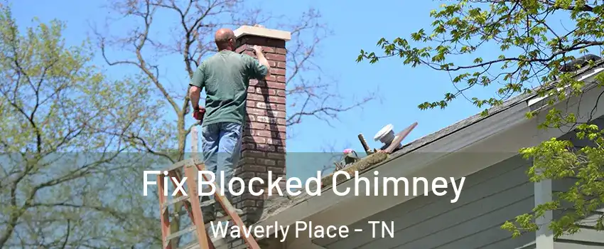 Fix Blocked Chimney Waverly Place - TN