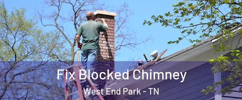 Fix Blocked Chimney West End Park - TN