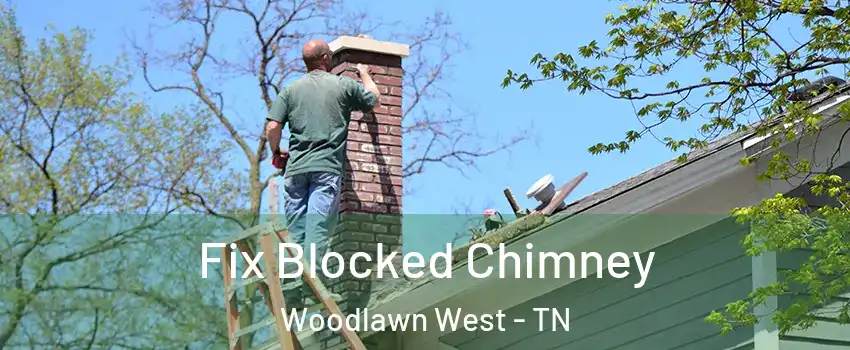 Fix Blocked Chimney Woodlawn West - TN