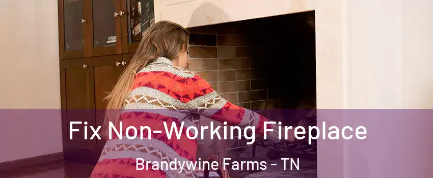 Fix Non-Working Fireplace Brandywine Farms - TN